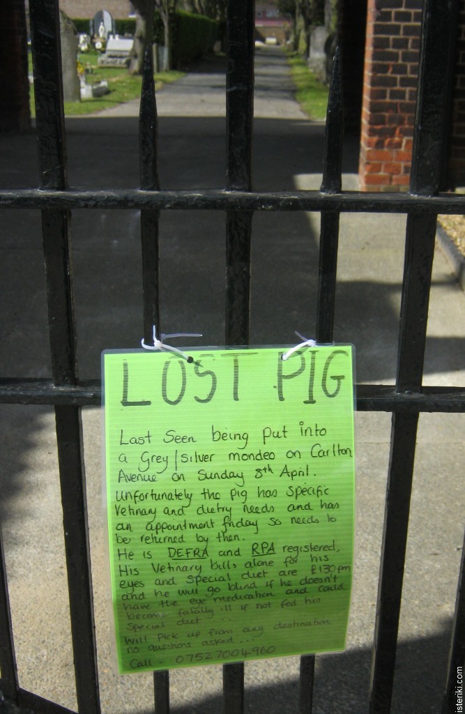 Lost Pig