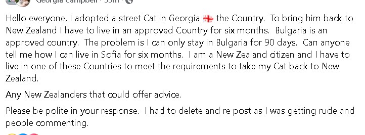 Котик, недвижимость и вежливость