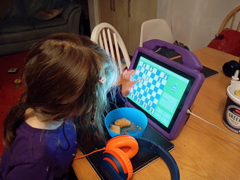 Успех вайб-ругани